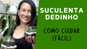 Suculenta Dedo de Moça: Guia Completo de Como Cuidar