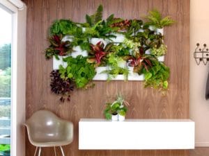 Jardim Vertical: Aprenda a Fazer o Seu Agora!