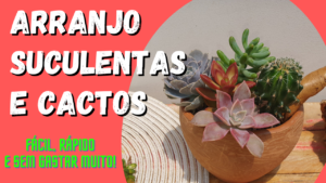 Arranjo de Suculentas e Cactos: Sem Gastar Muito!