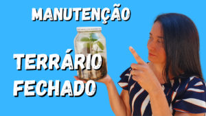 Manutenção de Terrário Fechado: Veja como é Fácil Cuidar!