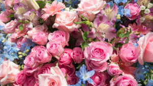 Feira de Flores da CEAGESP: Número 1 de Sorocaba!