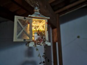 LANTERNA DE SUCULENTAS – Plante esta NOVIDADE!