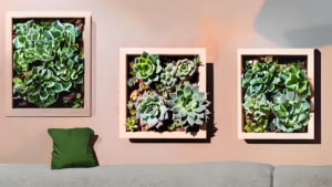 Quadro Vivo de Suculentas! 6 Super Passos Completos
