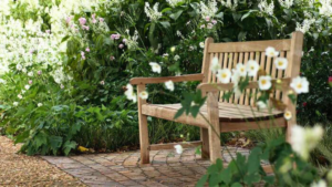 5 Coisas Que Não Devem Faltar: Cuidados com Jardim