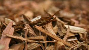MULCHING: Conheça 6 Palhinhas Vegetais