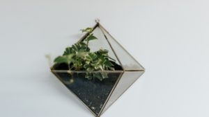 Mini Jardim de Cactos no Vidro – A Preço de Custo