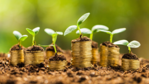 Ganhar Dinheiro! Conheça 7 Plantas para Cultivar e Lucrar!