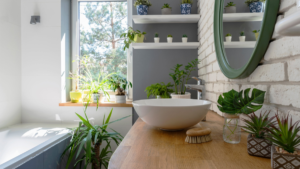 Plantas de Banheiro: Veja isso antes de usar!