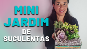 4 Passos pra Fazer Mini Jardim Delicado e Sofisticado