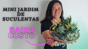 MINI JARDIM DE SUCULENTAS no Prato Plástico Baixíssimo Custo!