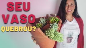 Vaso Quebrou? Não Jogue Fora! Faça um Mini Jardim