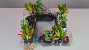 Mini Jardim em Garrafa PET: Não Jogue Fora, Reaproveite!