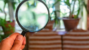 8 Dicas de Como Eliminar Fungos Nas Plantas