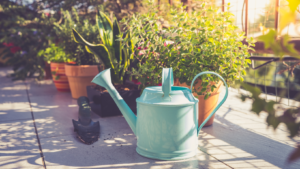 7 Passos Para Cuidar Das Plantas No Inverno