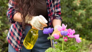 Pragas e Doenças Tropicais: 5 Soluções Práticas