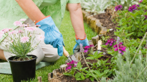 Jardinagem na Prática: 7 Mitos e  7 Verdades