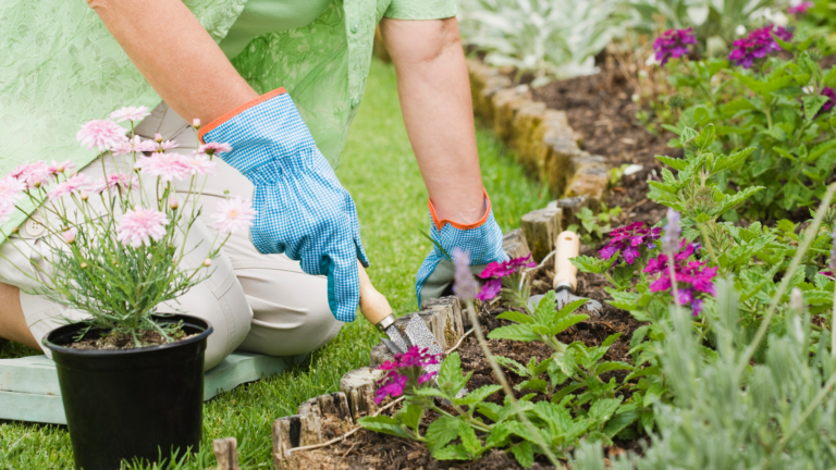 Jardinagem na Prática: 7 Mitos e  7 Verdades